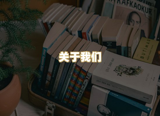 关于我们